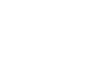 L U T E S Logo